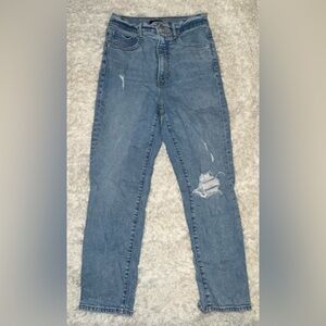 Express Distressed High Waisted Mom Jeans